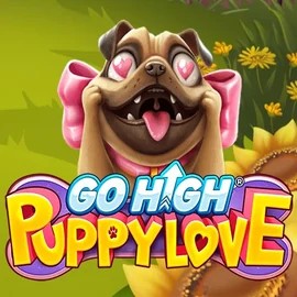Official Slots logo: Go High Puppy Love by RubyPlay at HugoBets Casino